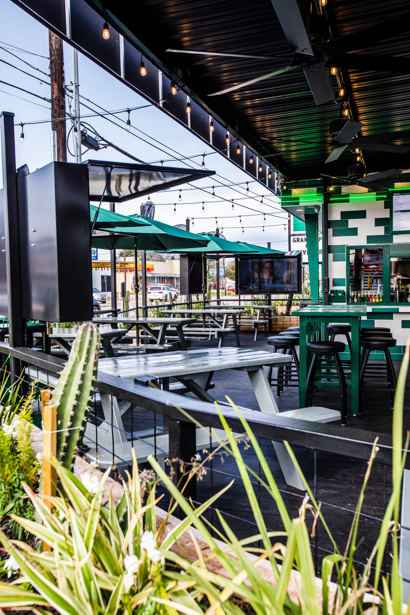 Outdoor bar or patio area with green umbrellas, string lights, and a green-white tiled wall; foreground plants and cacti frame the scene.